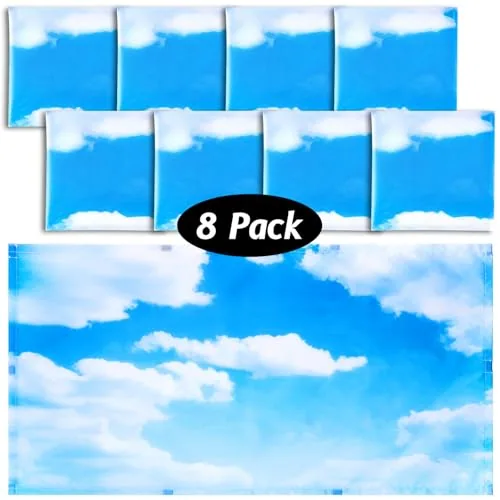Fluorescent Light Covers Classroom Ceiling, 4 x 2 feet, pack of 8