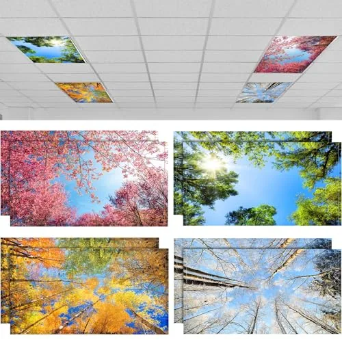 Fluorescent Light Covers Classroom Ceiling, 4 x 2 feet, pack of 8