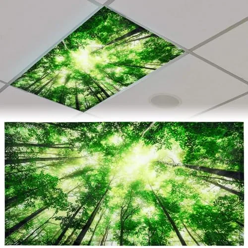 Light Covers Classroom, 4x2 feet